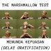 Jadi Pengajar Muda dan Menunda Kepuasan (Teori Marshamallow)